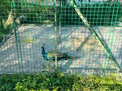 -梧桐人家中国太平国际健康颐养社区