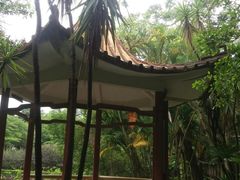 -广东茂名森林公园