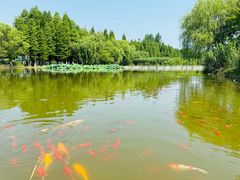 -云龙湖旅游景区