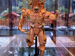 -上海崇明金茂凯悦酒店