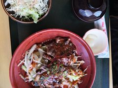 烧牛肉盖饭-鳥取砂丘会館