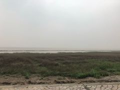 -南汇嘴观海公园