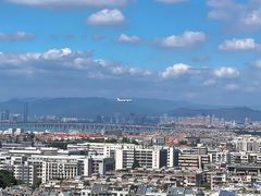 -仙岳公园