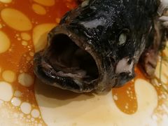 -老东吴食府(雅都店)