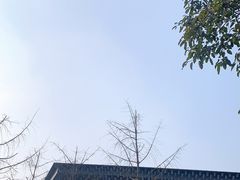 -知美术馆