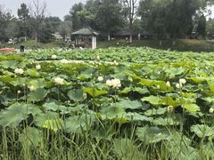 -中国翰园碑林