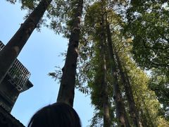 -上海方塔园