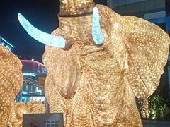 -亚龙湾国际玫瑰谷