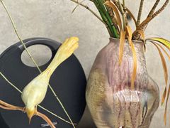 -苏州本色美术馆