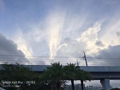 -宝安西湾红树林湿地公园