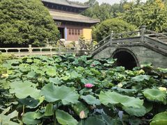 -慧因高丽寺