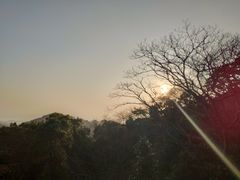 -普陀山慧济禅寺