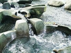 -成都市活水公园