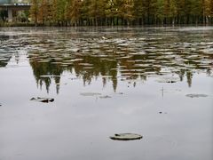 -白鹭湾湿地公园