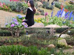 -人民公园(罗湖区)