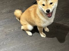 -呼吸沉浸式剧场(甘露园店)