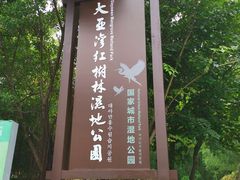 -大亚湾红树林城市湿地公园