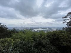-紫金山天文台