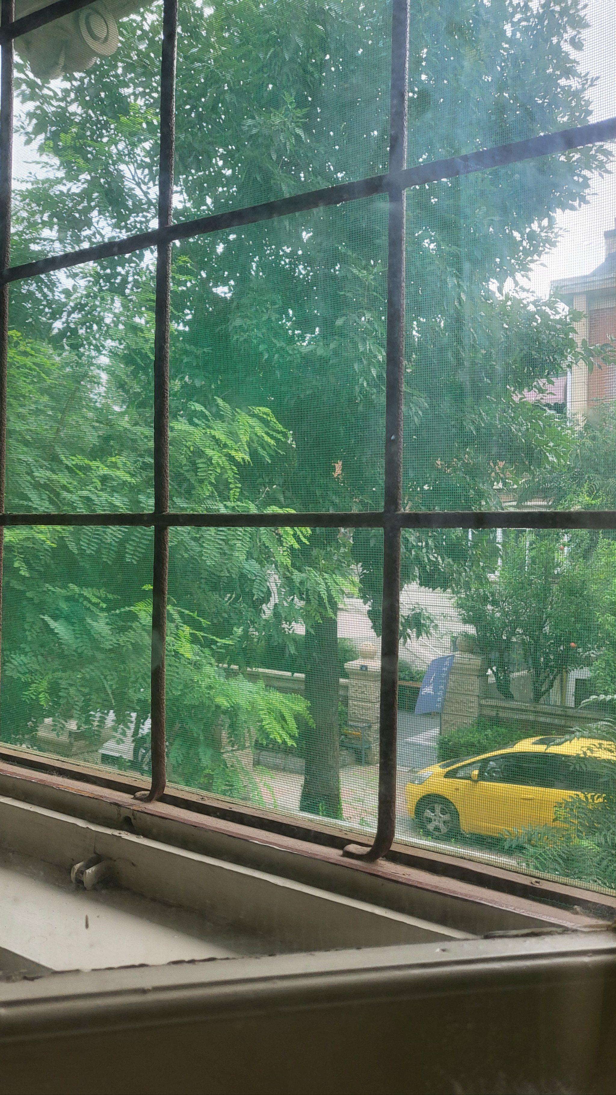 和窗外的景色对话