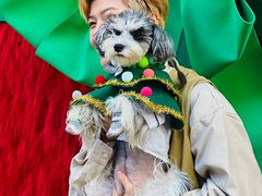 -佛山京华广场MALL