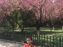 -西安市长乐公园