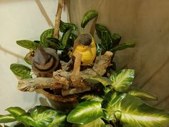 -湘当爱·鲜煮现炒(松岗立业路店)