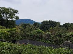 -树山生态村