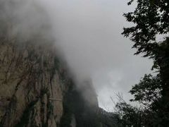 -洛阳白云山景区