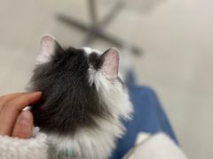 -怪兽屋·羊驼·猫咖·狗咖(俊华广场店)