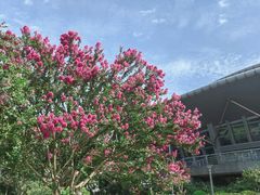 -杭州城北体育公园