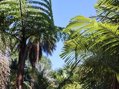 -中国科学院西双版纳热带植物园