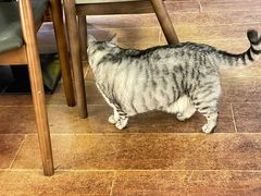 -H立方实景剧情密室(天河旗舰店)