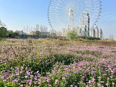 -南昌之星摩天轮