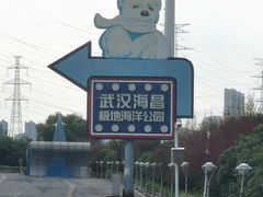 -海合安武汉极地海洋公园
