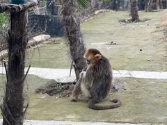 -武汉动物园