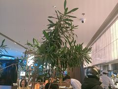 -桂满陇·蟹黄小笼汤包(巴黎春天浦建店)