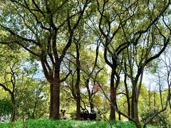 -徐家汇源景区-衡山公园