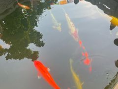 -西安市广仁寺