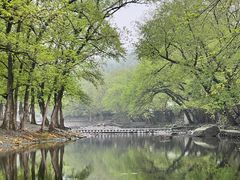 -鹿亭中村
