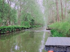 -合肥滨湖国家森林公园