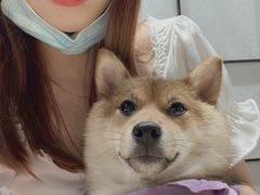 -逗柴咖啡屋·狗咖猫咖宠物桌游