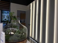-齐玉齿科JADENTAL