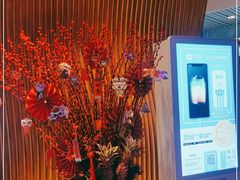 -上海外滩英迪格酒店