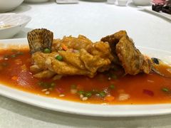 -梅龙镇酒家(南京西路总店)