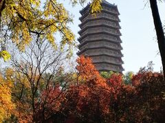 -玲珑塔公园