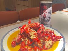 -杨氏青龙虾·羊蝎子(托乐嘉店)