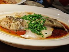 -千日贺茶餐厅(高新万达店)