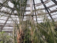 -华南国家植物园-售票处