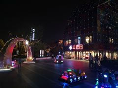 -恒生万鹂广场(唐镇店)