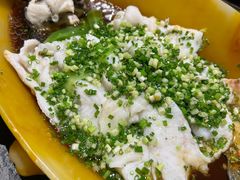 清蒸多宝鱼-北平盛世·新京菜·北京烤鸭(劲松·双井店)